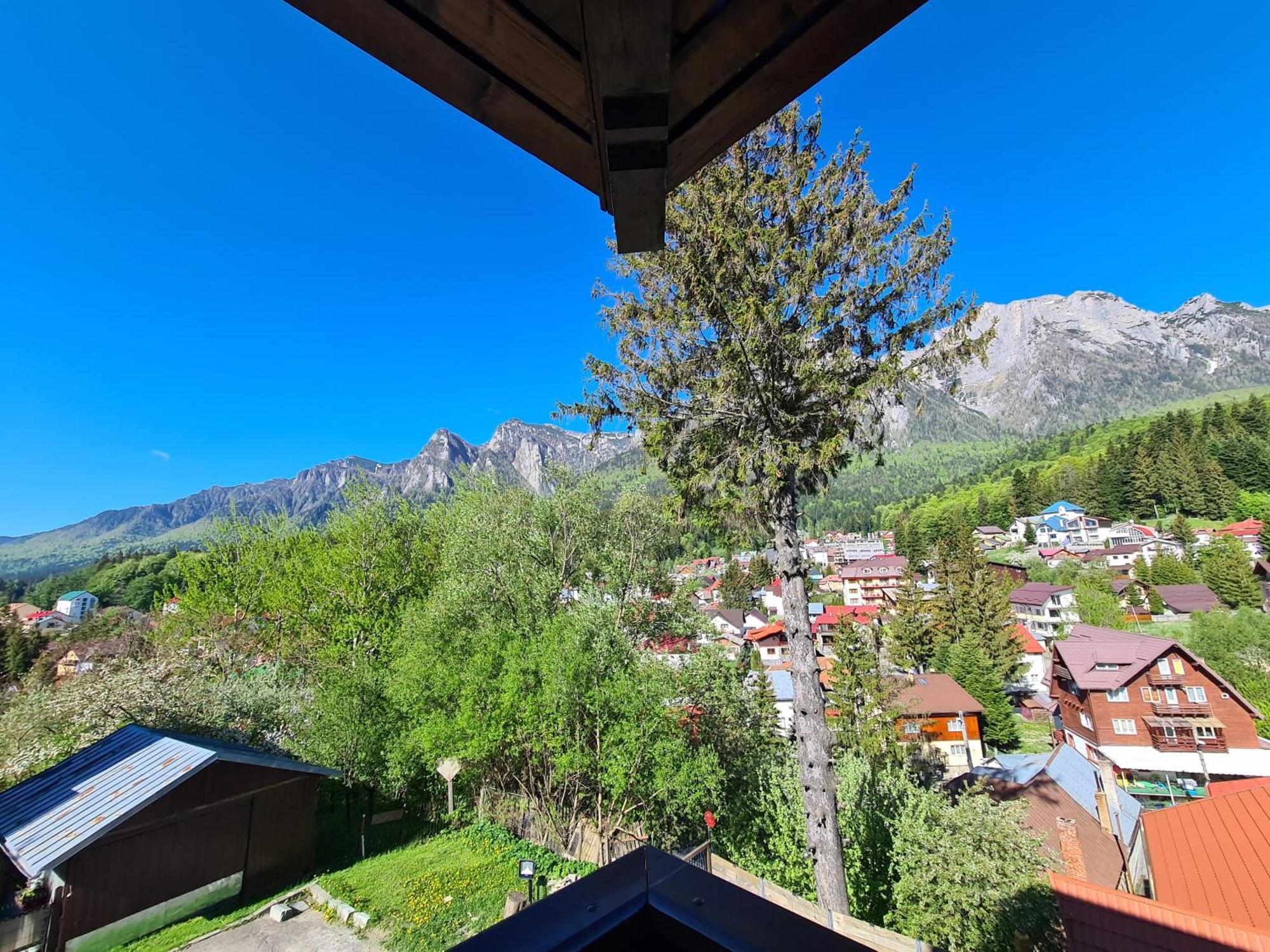 Casa Florescu Busteni Luaran gambar