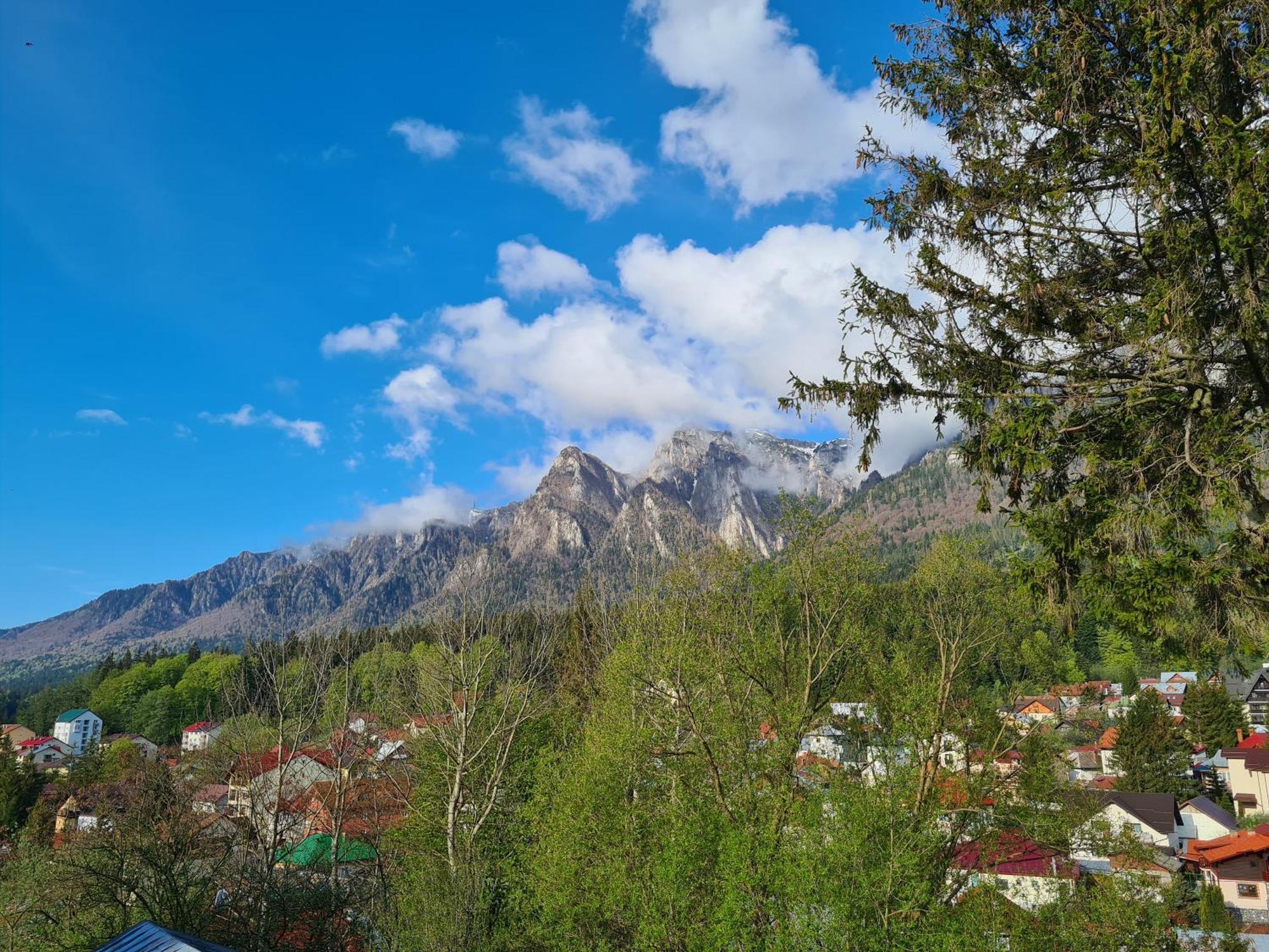 Casa Florescu Busteni Luaran gambar