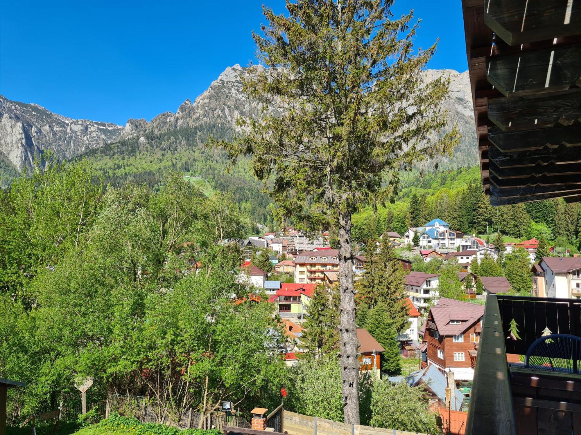 Casa Florescu Busteni Luaran gambar